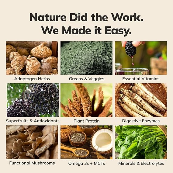 Ka’Chava Whole Body Meal Shake  2 lb – Vegan Protein Powder with 85+ Superfoods & Greens – Plant-Based Meal Replacement with Probiotics & Digestive Enzymes – Gluten & Dairy Free (15 Servings)