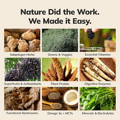 Ka’Chava Whole Body Meal Shake  2 lb – Vegan Protein Powder with 85+ Superfoods & Greens – Plant-Based Meal Replacement with Probiotics & Digestive Enzymes – Gluten & Dairy Free (15 Servings)